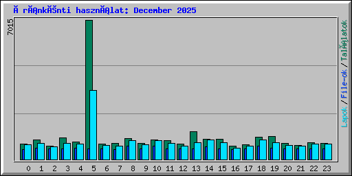 Óránkénti használat: December 2025